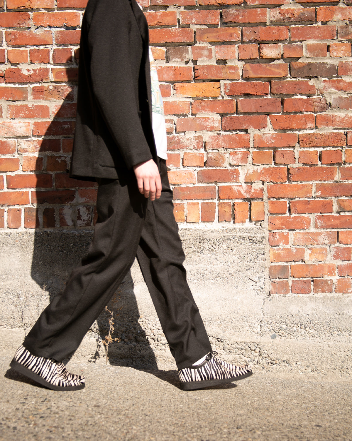 PADMORE AND BARNS P202 - ZEBRA(3262)