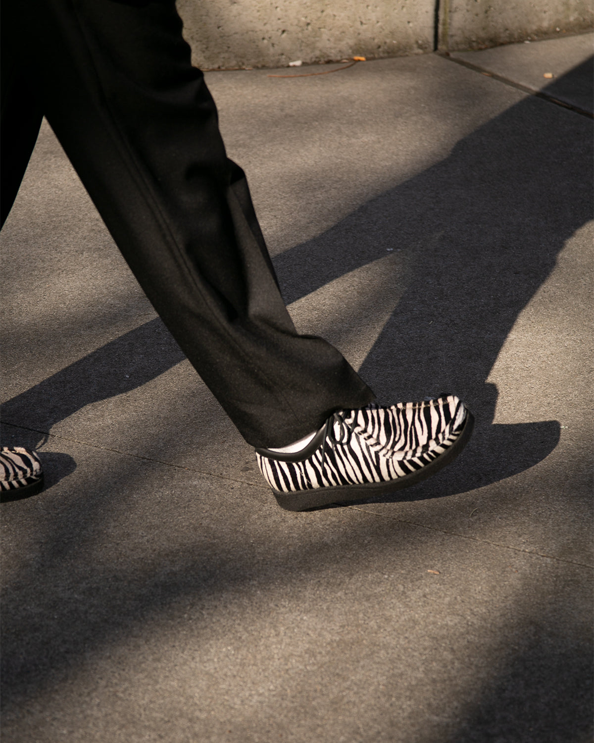 PADMORE AND BARNS P202 - ZEBRA(3262)