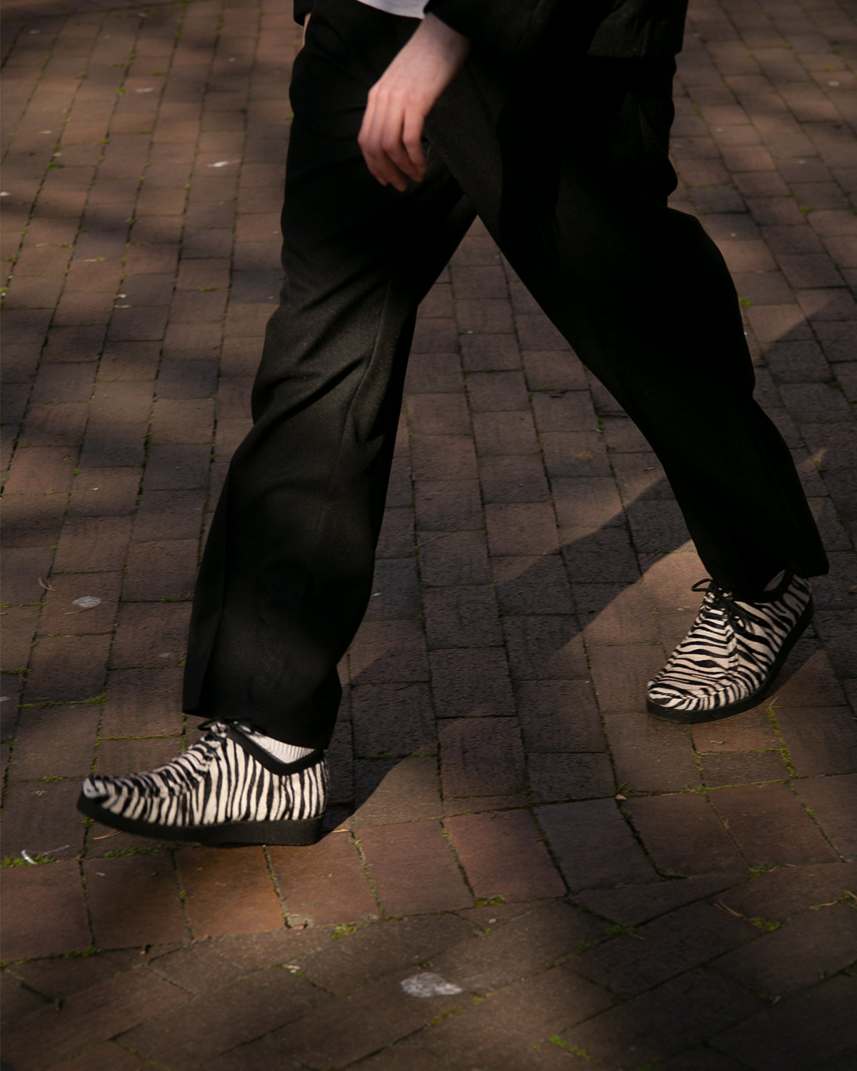 PADMORE AND BARNS P202 - ZEBRA(3262)